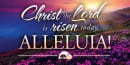 Offering Envelope: Christ The Lord Is Risen Today (Easter, 100 PK)