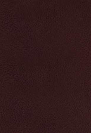KJV Study Bible (Bonded Leather, Burgundy, Indexed, Full-Color)