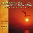 16 Great Praise and Worship Instrumentals, Vol. 1