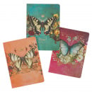 Secret Garden Butterfly Notebooks (Set of 3)