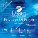 Privilege Of Prayer
