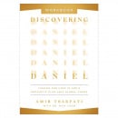 Discovering Daniel Workbook: Finding Our Hope in God’s Prophetic Plan Amid Global Chaos