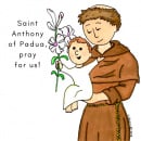 Magnet: St. Anthony of Padua