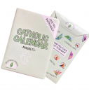 Catholic Calendar Magnets