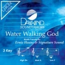 Water Walking God