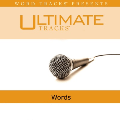 Words Accompaniment Track: Hawk Nelson (Feat. Bart Millard)