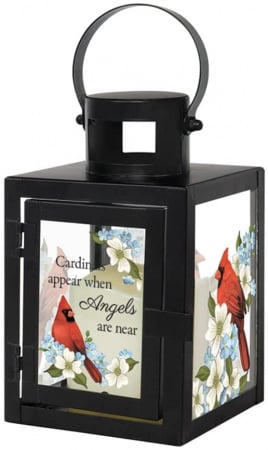 Lantern: Cardinals Appear