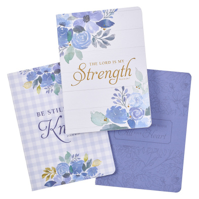 Notebook Set: Lord Is My Strength (3 PK/LG)