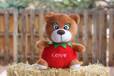Love: The Apple Bear Plush