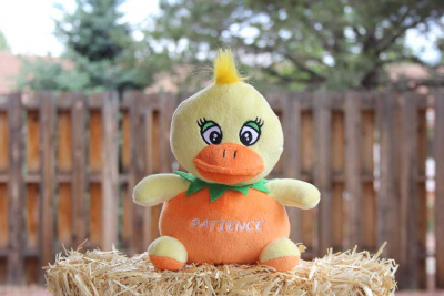 Patience: The Orange Duck Plush