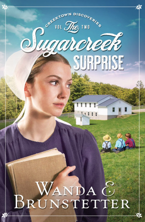 The Sugarcreek Surprise: Volume 2 (Creektown Discoveries)