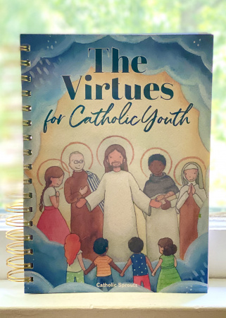 The Virtues For Catholic Youth