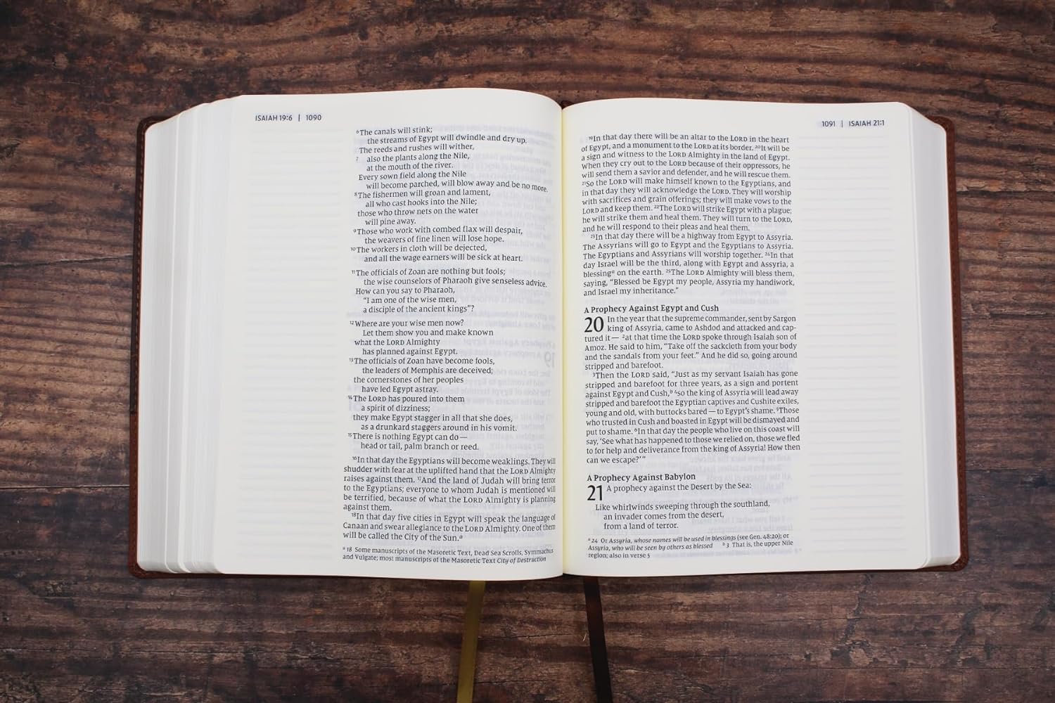 NIV Large Print Journal the Word Bible (Brown) - Image 2