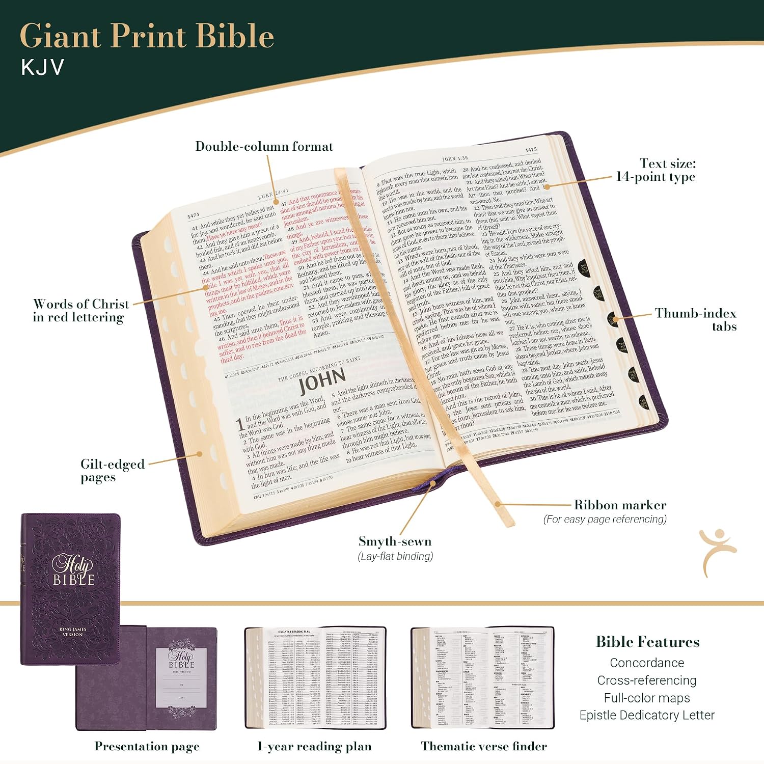 KJV Giant Print Indexed Bible (Purple Floral) - Image 3